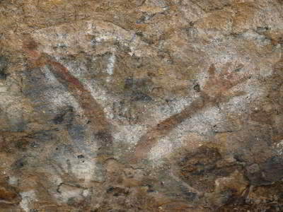 Hands